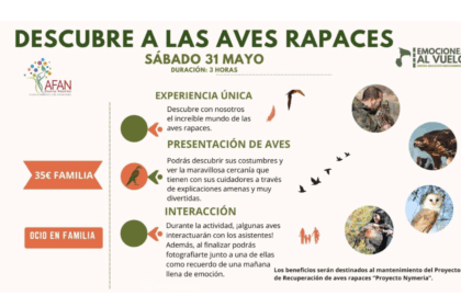 Emociones al vuelo 2025