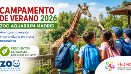 Campamento Zoo 2026