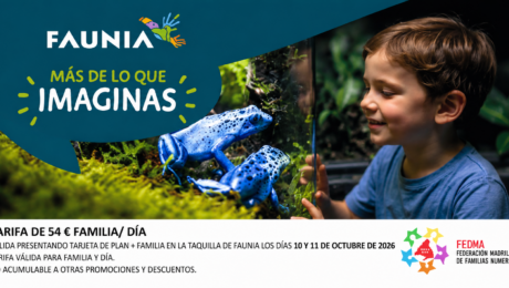 Faunia oct 2026